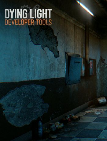 消逝的光芒1 模组开发文档-FlyingGoose